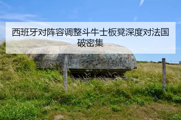 西班牙对阵容调整斗牛士板凳深度对法国破密集
